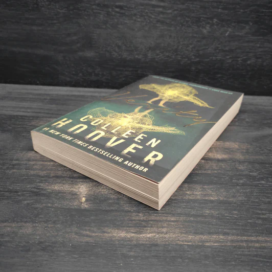Verity - Colleen Hoover รูปที่ 4