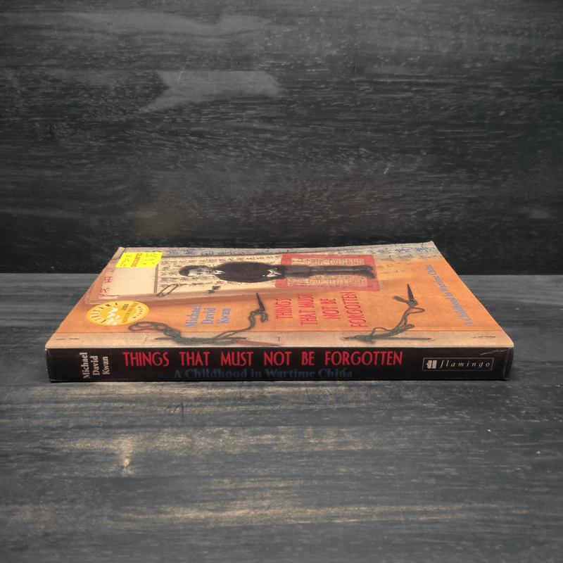 Things That Must Not Be Forgotten - Michael David Kwan รูปที่ 3