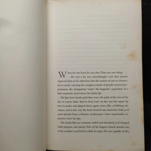 Grief of Others - Leah Hager Cohen รูปที่ 6