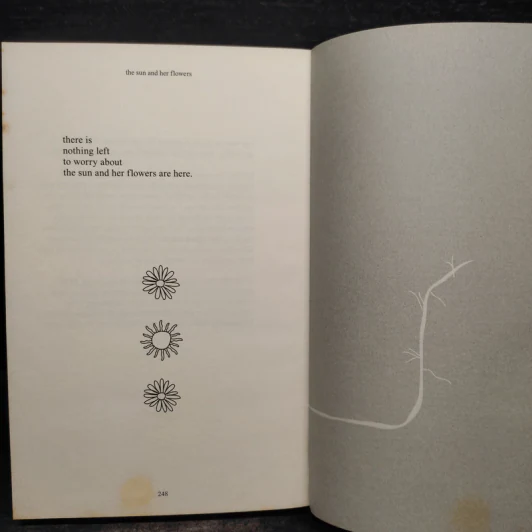 The Sun and Her Flowers - Rupi Kaur รูปที่ 9