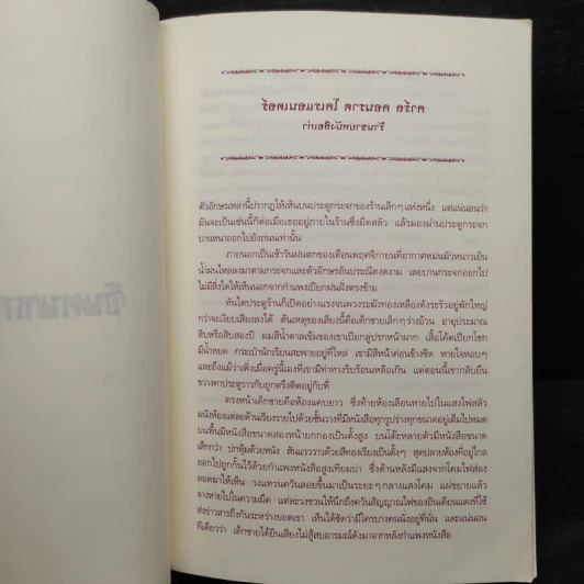 จินตนาการไม่รู้จบ The Neverending Story - มิชาเอ็ล เอ็นเด้ รูปที่ 8