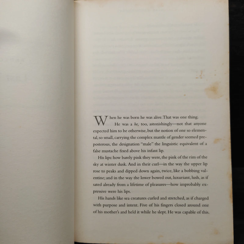Grief of Others - Leah Hager Cohen รูปที่ 6