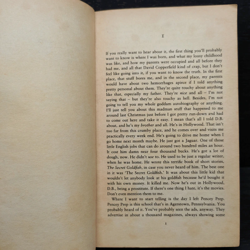 The Catcher in the Rye - J. D. Salinger รูปที่ 6