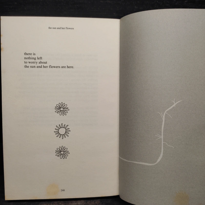 The Sun and Her Flowers - Rupi Kaur รูปที่ 9
