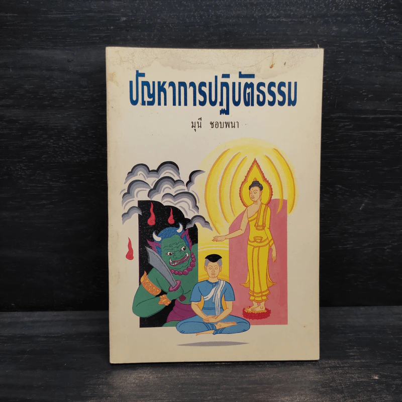 ปัญหาการปฏิบัติธรรม - มุนี ชอบพนา รูปที่ 1