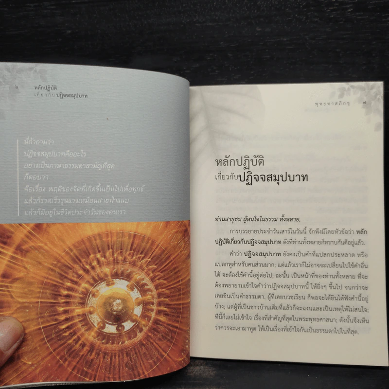 หลักปฏิบัติเกี่ยวกับปฏิจจสมุปบาท - พุทธทาส รูปที่ 7