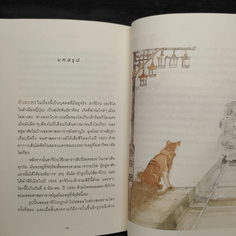 ฮาจิโกะ HACHIKO - หลุยส์, พรัทส์ (Lluis Prats Martinez) รูปที่ 7