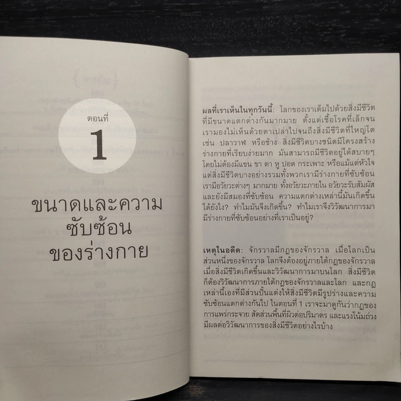เหตุผลของธรรมชาติ - นพ.ชัชพล เกียรติขจรธาดา รูปที่ 7
