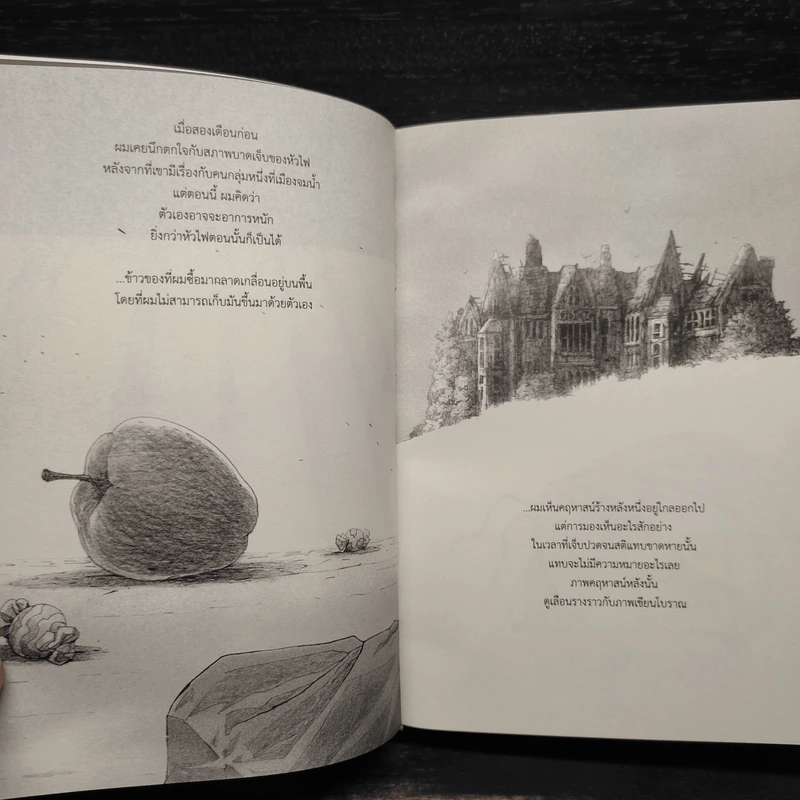 Beansprout & Firehead III The Winter Tales ถั่วงอกและหัวไฟ เล่ม 3 เรื่องเล่าฤดูหนาว - ทรงศีล ทิวสมบุญ รูปที่ 6