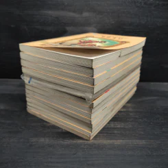 ชุด อยากให้เรื่องนี้ไม่มีโชคร้าย 13 เล่มจบ - Lemony Snicket (เลโมนี สนิกเก็ต) รูปที่ 3
