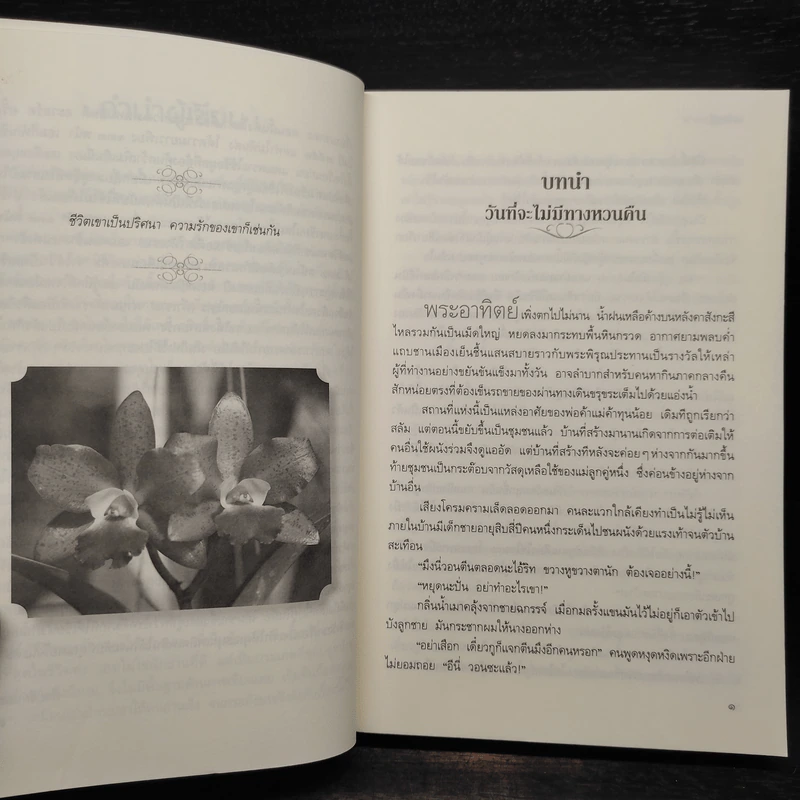 ม่านเบญจรงค์ - ตรียาฐิ์ รูปที่ 6
