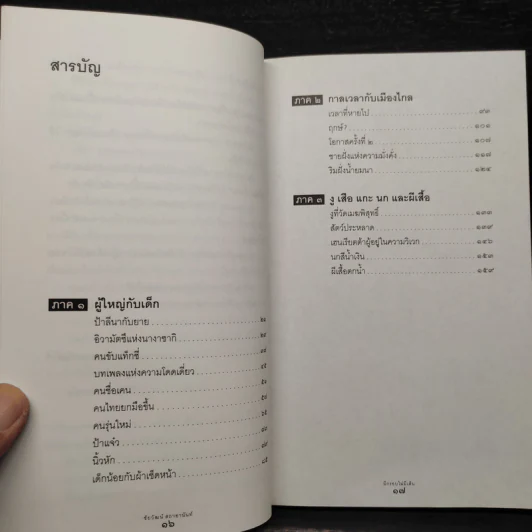 มีกรอบไม่มีเส้น - ชัยวัฒน์ สถาอานันท์ รูปที่ 6