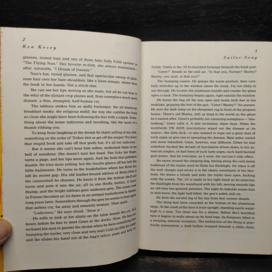 Sailor Song - Ken Kesey รูปที่ 7