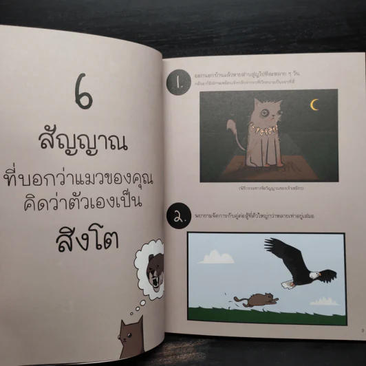 จะรู้ได้ยังไงว่าแมวกำลังวางแผนฆ่าคุณ - Matthew Inman (แมทธิว อินแมน) รูปที่ 7