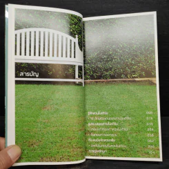 มือใหม่จัดสวนโมเดิร์น - อิศรา แพงสี รูปที่ 6