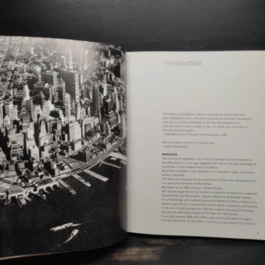 Delirious New York - Rem Koolhaas รูปที่ 6
