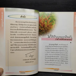 ปลาออกลูกเป็นตัว - วันเพ็ญ มีนกาญจน์ รูปที่ 7