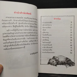 ความลับห้องสีฟ้า ชุด สารวัตรยอดนักสืบ รูปที่ 6