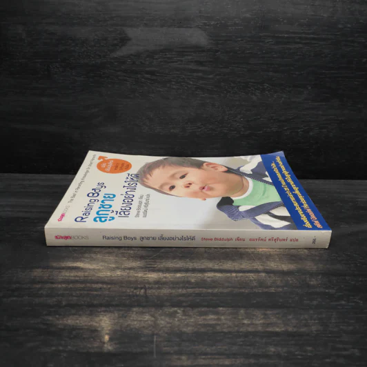 Raising Boys ลูกชายเลี้ยงอย่างไรให้ดี - Steve Biddulph รูปที่ 3