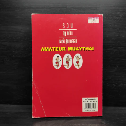มวยไทยสมัครเล่น รูปที่ 2