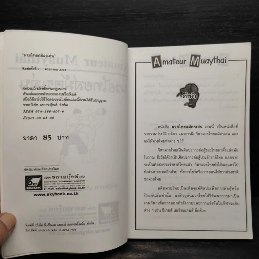 มวยไทยสมัครเล่น รูปที่ 5