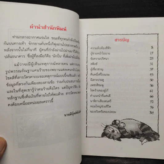 ความลับห้องสีฟ้า ชุด สารวัตรยอดนักสืบ รูปที่ 6