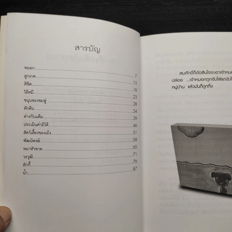 หมาทุกตัวล้วนต้องตาย - อรุณวดี อรุณมาศ รูปที่ 6
