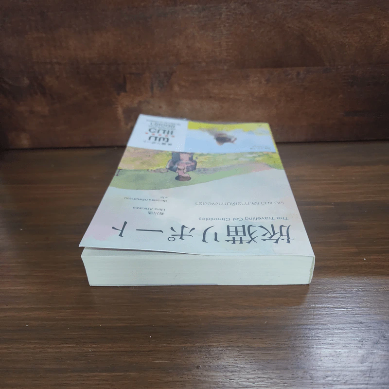 ผม แมว และการเดินทางของเรา The Travelling Cat Chronicles - ฮิโระ อาริคาว่า รูปที่ 5