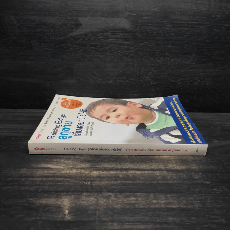 Raising Boys ลูกชายเลี้ยงอย่างไรให้ดี - Steve Biddulph รูปที่ 3