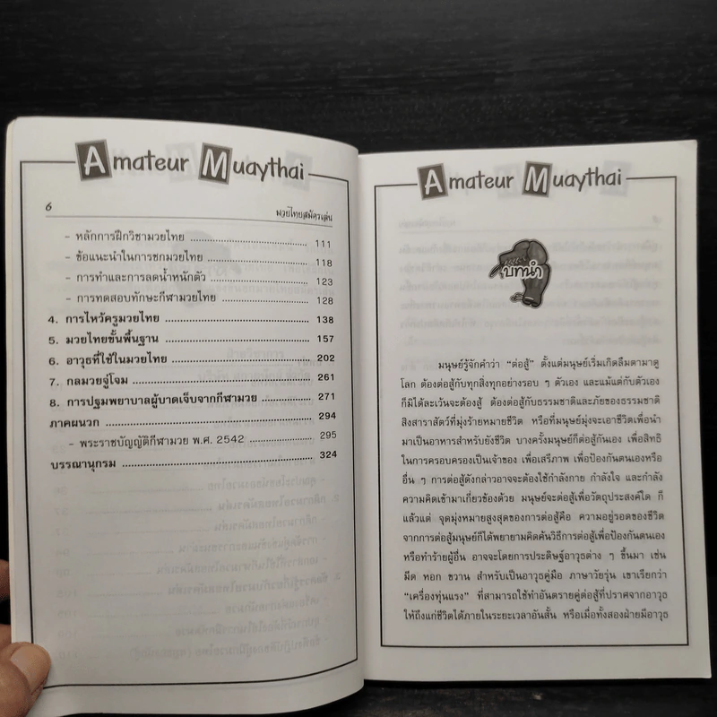 มวยไทยสมัครเล่น รูปที่ 7
