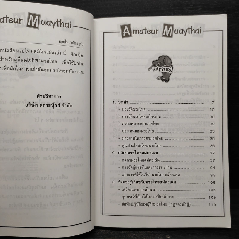 มวยไทยสมัครเล่น รูปที่ 6