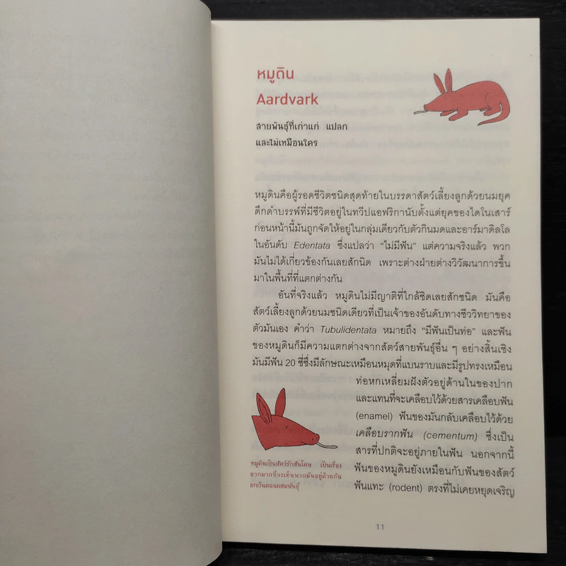 เมื่อคิดให้ดี โลกนี้มีแต่สัตว์ประหลาด - จอห์น มิทชินสัน, จอห์น ลอยด์ รูปที่ 7