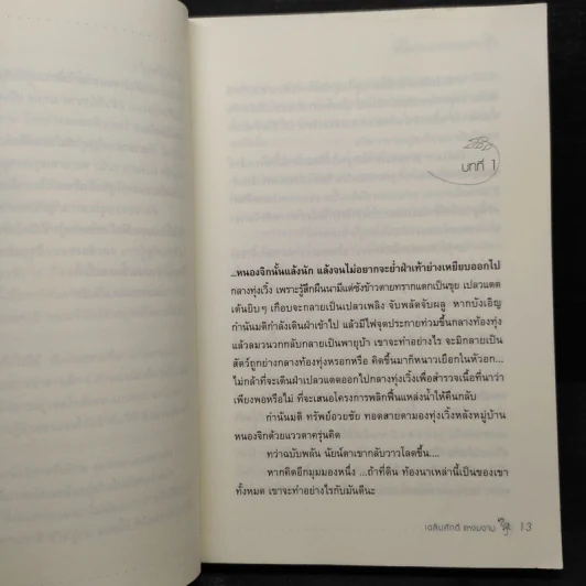 ลุ่มหนองละอองฝน - เฉลิมศักดิ์ แหงมงาม รูปที่ 6
