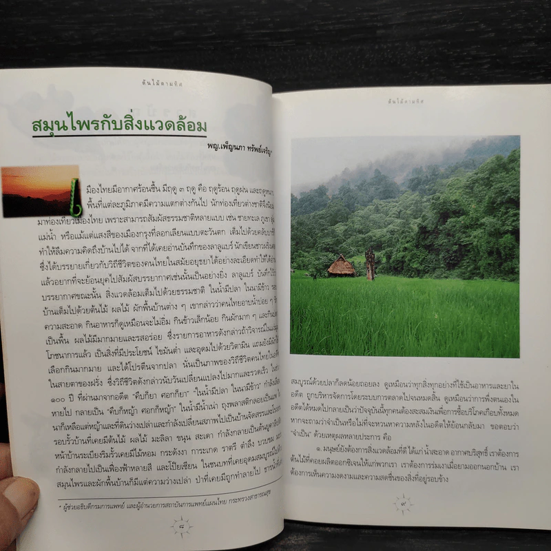 สมุนไพรกับวัฒนธรรมไทย ตอนที่ 1 ต้นไม้ตามทิศ รูปที่ 7
