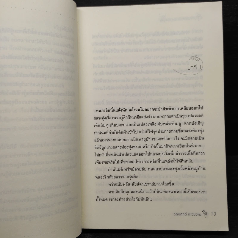 ลุ่มหนองละอองฝน - เฉลิมศักดิ์ แหงมงาม รูปที่ 6