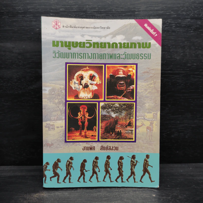 มานุษยวิทยากายภาพ วิวัฒนาการทางกายภาพและวัฒนธรรม - งามพิศ สัตย์สงวน รูปที่ 1