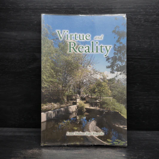 Virtue and Reality รูปที่ 1