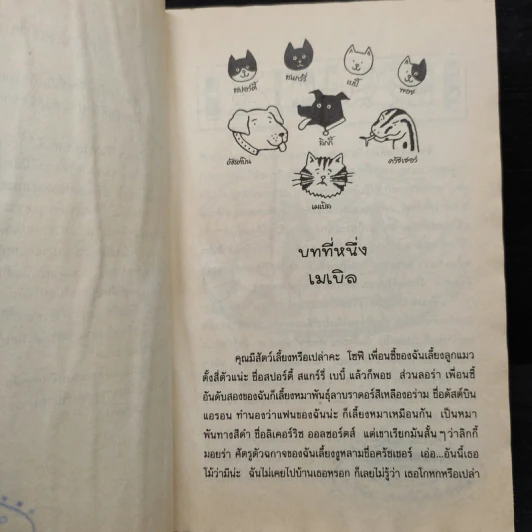 เหมียว เหมียว มัมมี่แมว - Jacqueline Wilson รูปที่ 6