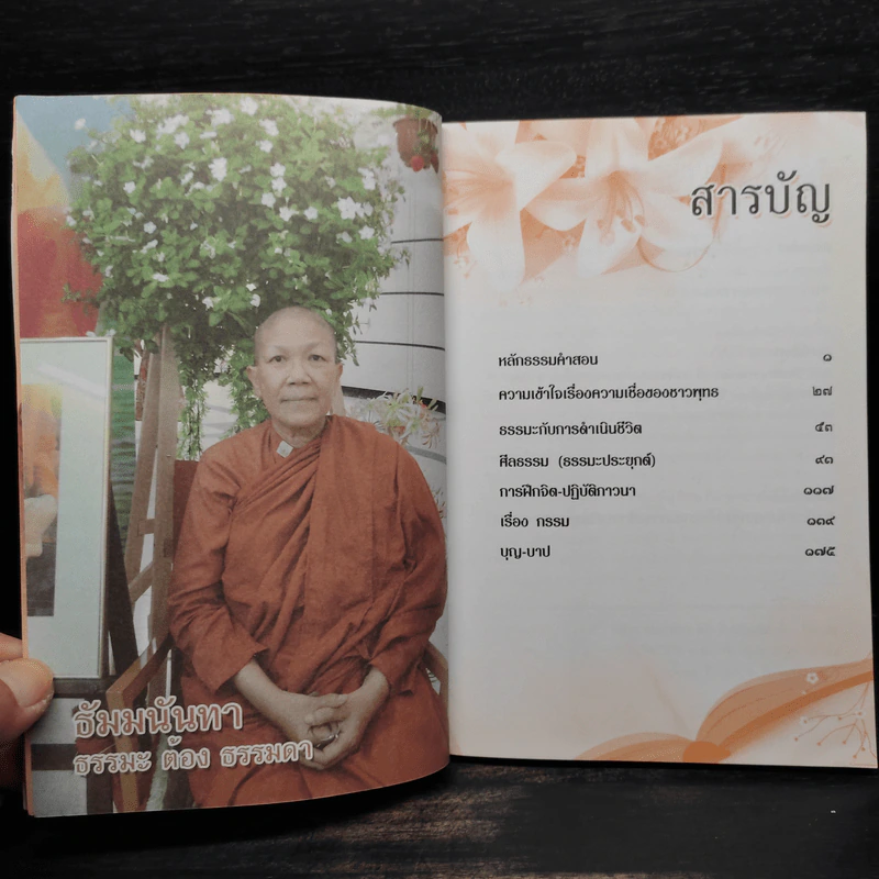 ธัมมนันทา ธรรมะต้องธรรมดา - ธัมมนันทาภิกษุณี รูปที่ 6
