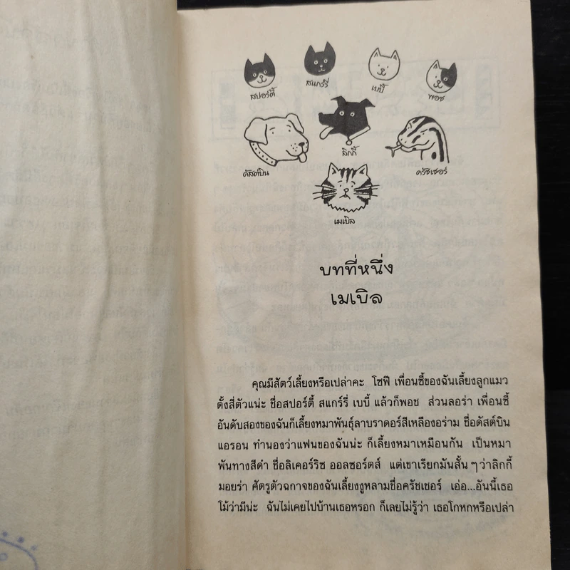 เหมียว เหมียว มัมมี่แมว - Jacqueline Wilson รูปที่ 6