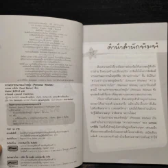ความปรารถนาของเจ้าหญิง รูปที่ 5