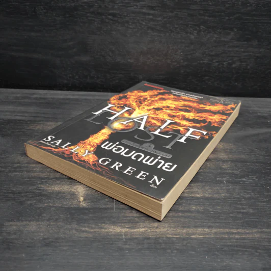 Half Lost พ่อมดพ่าย : สายเลือดปีศาจ เล่ม 3 - Sally Green (แซลลี กรีน) รูปที่ 4