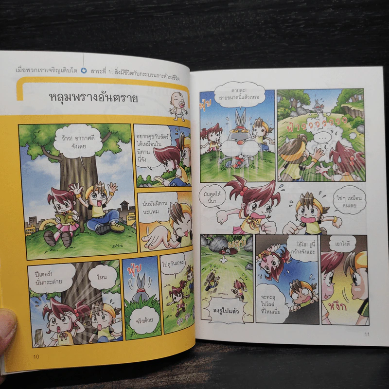 Why ช่วยเด็กประถมเก่งวิทย์ เล่ม 2 รูปที่ 7