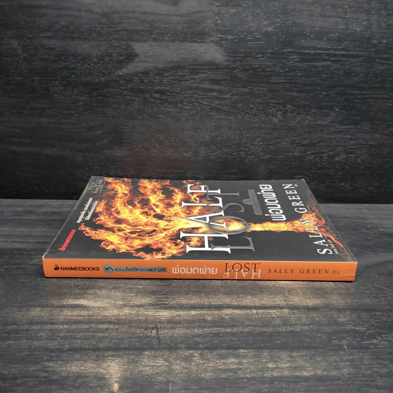 Half Lost พ่อมดพ่าย : สายเลือดปีศาจ เล่ม 3 - Sally Green (แซลลี กรีน) รูปที่ 3