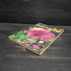 คู่มือเลี้ยงกล้วยไม้ Orchid รูปที่ 4