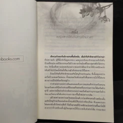 ลำนำจอมนาง - นาย่า รูปที่ 6