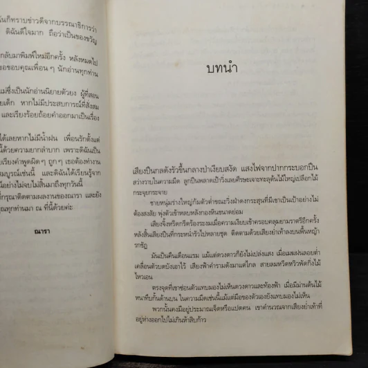 ปฏิบัติการล่าตามหาหัวใจ - ณารา รูปที่ 7