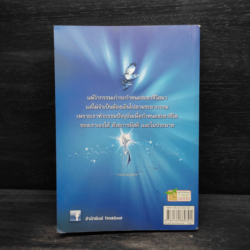 บุญทำกรรมแต่ง - แก้วธารา รูปที่ 2