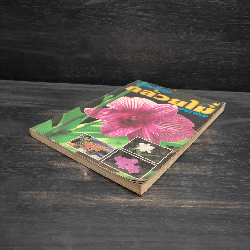 คู่มือเลี้ยงกล้วยไม้ Orchid รูปที่ 4