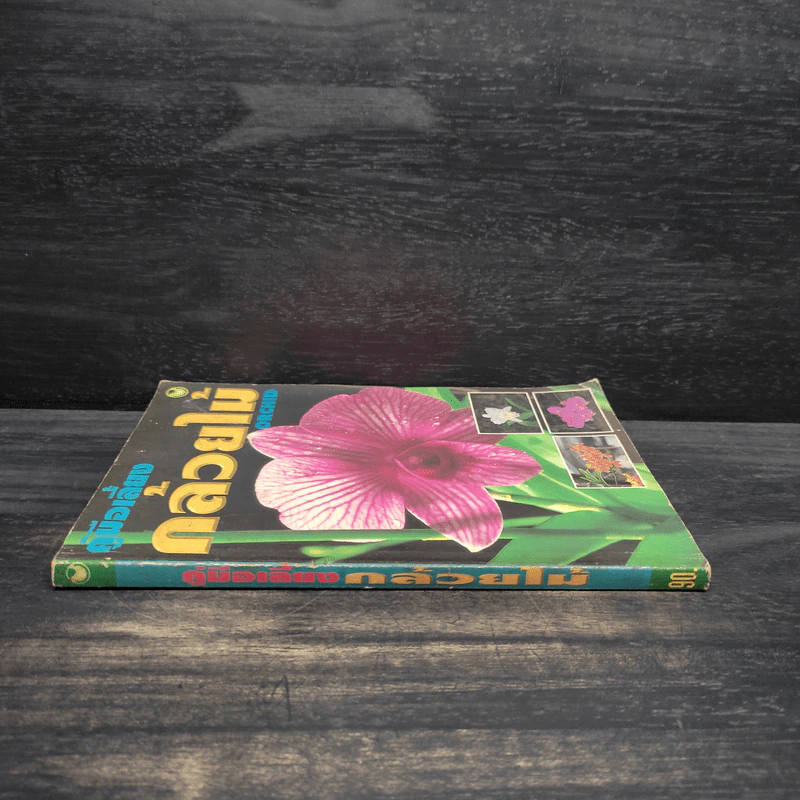 คู่มือเลี้ยงกล้วยไม้ Orchid รูปที่ 3